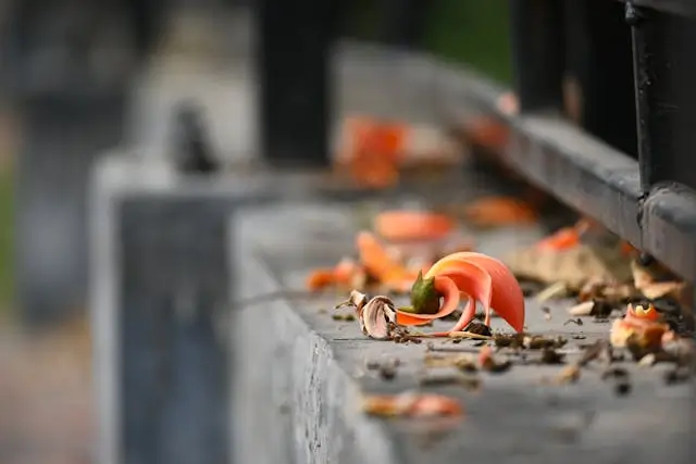 Intercultural Relationship: 17 Years of Russian-Indian Marriage & Love